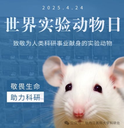 每年4月24日是“世界实验动物日”