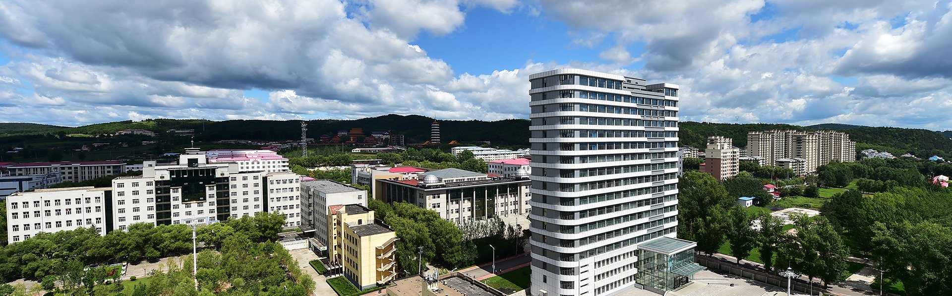 黑龙江省牡丹江市爱民区通乡街3号 邮